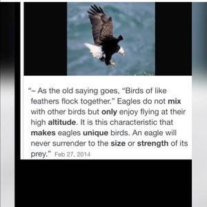 Meet your Posher, Hamidou